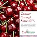 fruitHaven Bulk Montmorency Dried Tart Cherries, No Perservatives or Sulfites Added, Gluten Free, A Cherry Central Brand and Locally Grown (4 Pounds)