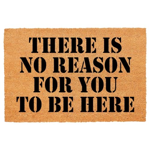 Funny There is No Reason for You to Be Here - Alfombrilla de piso para exteriores con respaldo de PVC resistente, antideslizante, cursivo, coco natural, color marrón con fuente negra de 60,2 x 39,9 cm