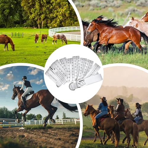 Regla para medir y rastrear caballos en escapadas y boxes de competición 5
