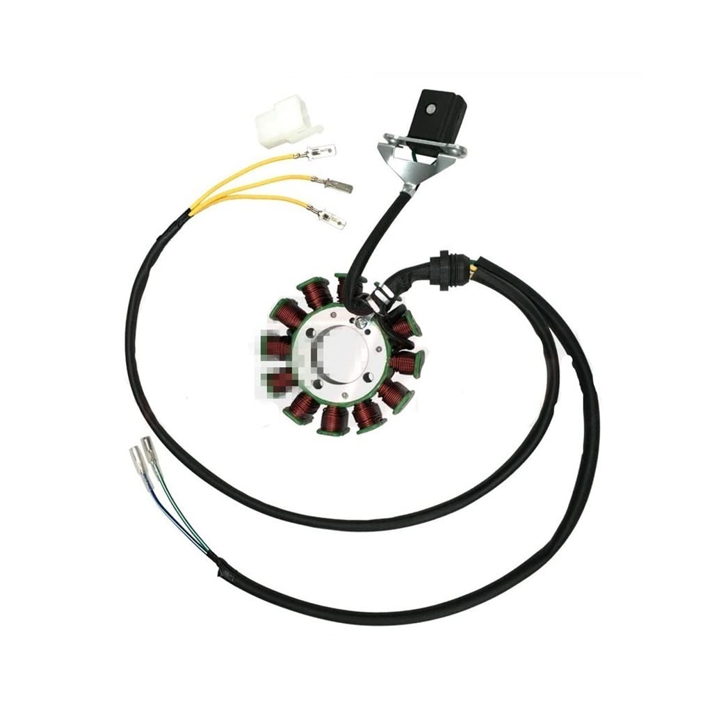 Buy Motorcycle stator coil Stator 12 Coils Pad Wire