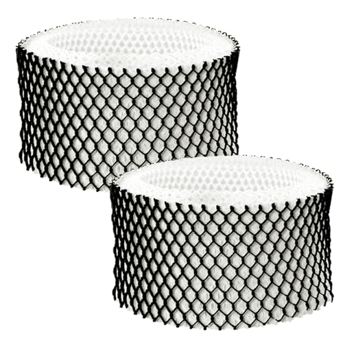 Colorfullife 2 Pack HWF62 Humidifier Filter A for Holmes - Replacement for Holmes Sunbeam Humidifier Replaces HWF62 HWF62CS HWF62D SF212 HWF62PDQ-U Fits Models SCM1100 SCM1701 SCM1702 SCM1762