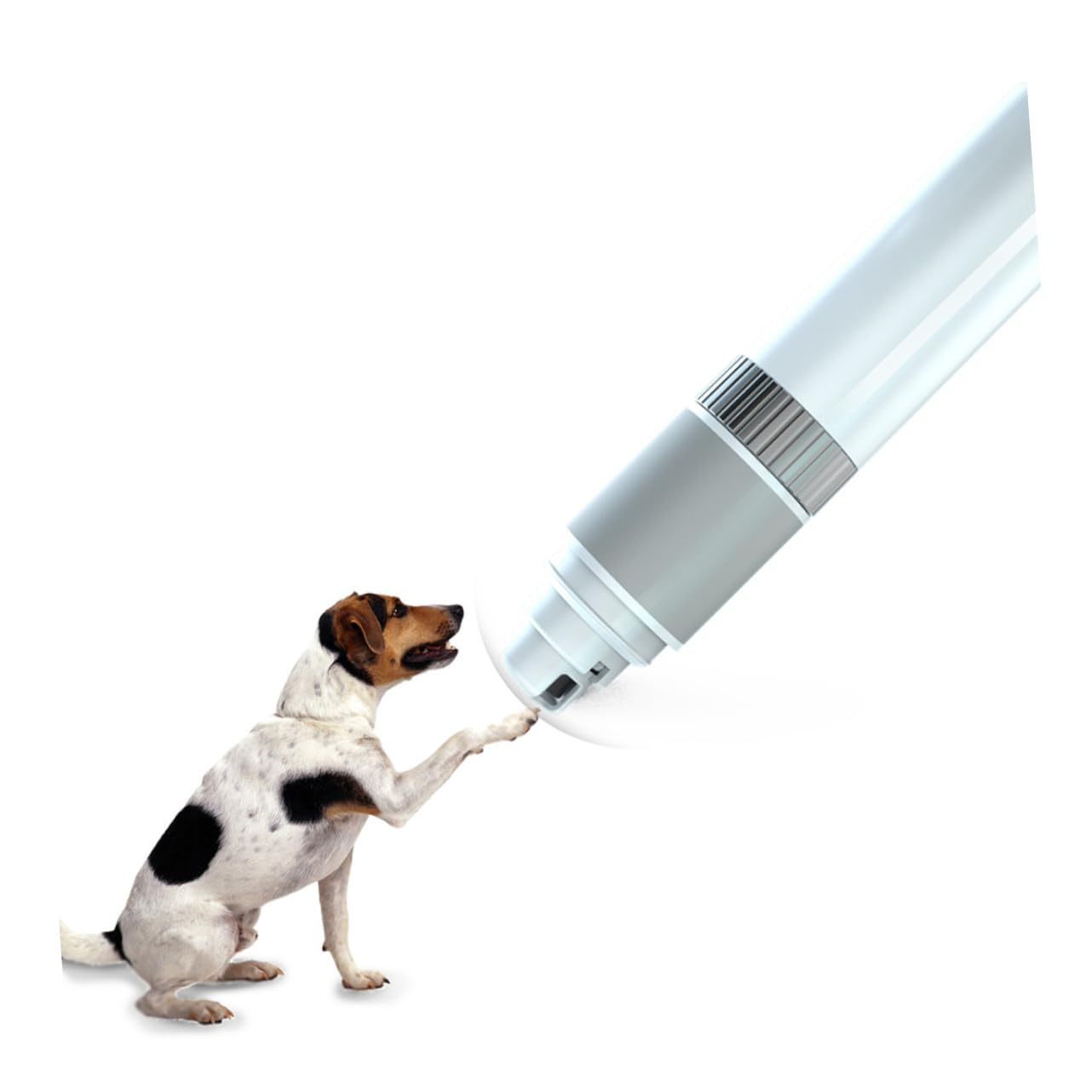 BESPORTBLE Elektrische Krallenschleifzange 3,7v Akku für Hunde und Katzen Abspc Pa Material Tragbar Leise mit Silikonbeschichtetem Griff Verschleißfest und Sicher