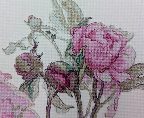 Image of Aine - Peonies. Delight A1009, Cross Stitch Kits 7 inchx6 inch, Cross Stitch Kits for Beginners & Advanced, Crossstitching Kits Adult, Counted Cross Stitch Kits for Adults, Flowers Embroidery Kit