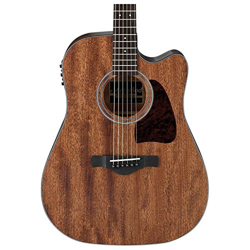 Image of Ibanez Acoustic Guitar ARTWOOD series with Cutaway Electronics AW54CE-OPN