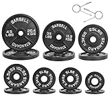 Fitvids Cast Iron Plate Weight Plate for Strength Training and Weightlifting, 2-Inch Center (Olympic), 45LB (Single)
