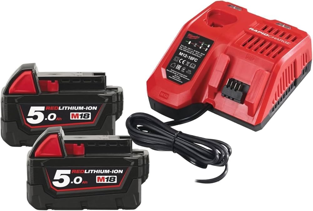 Milwaukee 4933459217 M18NRG-502 Rechargeable Battery Starter Kit 12 W 12 V