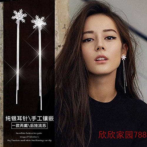 Hot Women Girls Models Earrings Clip Earrings Fake Ear Clip Earrings Long Section Women Have Pierced Ears Have Pierced Earrings