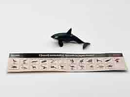 チョコQ第7弾ツチクジラ Amazon.co.jp: チョコQ 日本の動物 第7弾 163 ツチクジラ 槌鯨