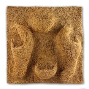 Reptiles-Planet REPU5 Terrarienrückwand 50x50 cm