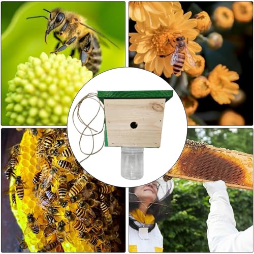 Piège à abeille de bois réutilisable pour protection extérieure des ruches - 5