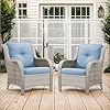 Patio Dining Chairs Set of 2 All Weather Wicker Chair Patio Club Chairs Outdoor Deep Seating Set Patio Furniture with Cushions Light Gray Wicker