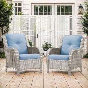 Patio Dining Chairs Set of 2 All Weather Wicker Chair Patio Club Chairs Outdoor Deep Seating Set Patio Furniture with Cushions Light Gray Wicker