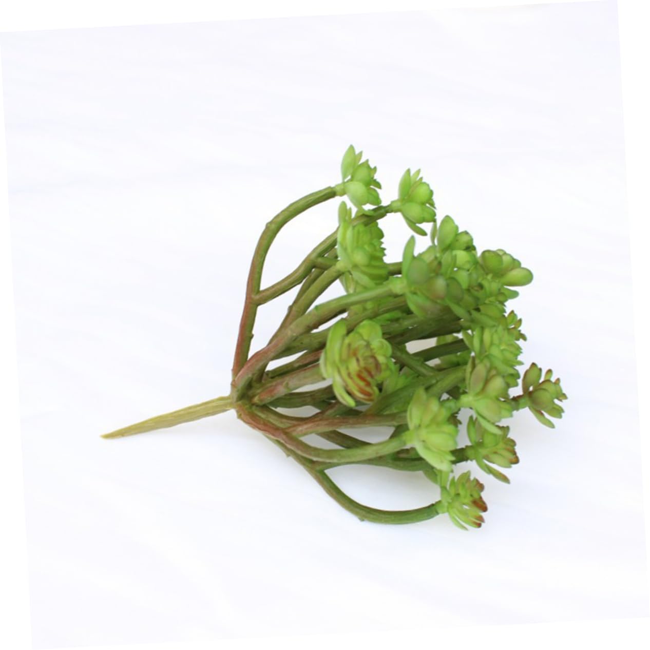 Cabilock Plantes Grasses Artificielles Fausses Succulentes Décorations Intérieures pour Arrangements Floraux