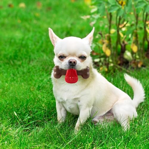 Image of PremiumAV Puppy Squeaky Chew Toy for Small Dogs - Durable Interactive Fetch & Chewing Toy, Soft Teething Toy for Puppies, Fun Training & Play