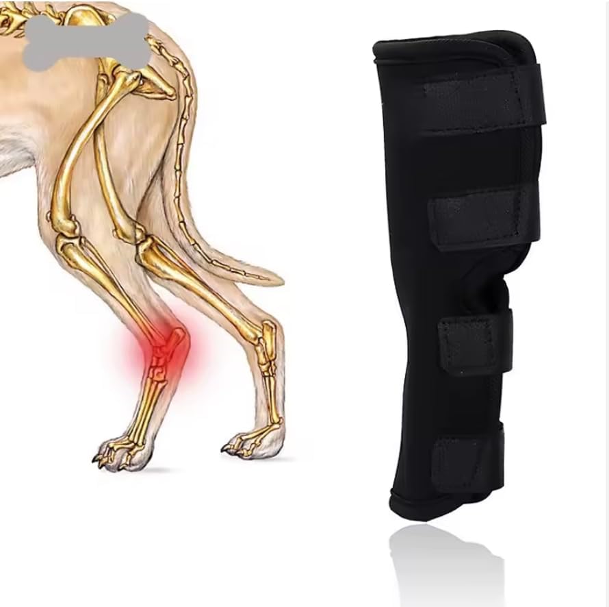 Dog Knee Brace Rear Leg Support for Dogs ACL CCL Ligament Support Adjustable Hock Joint Brace for Arthritis Injury Recovery (Small)