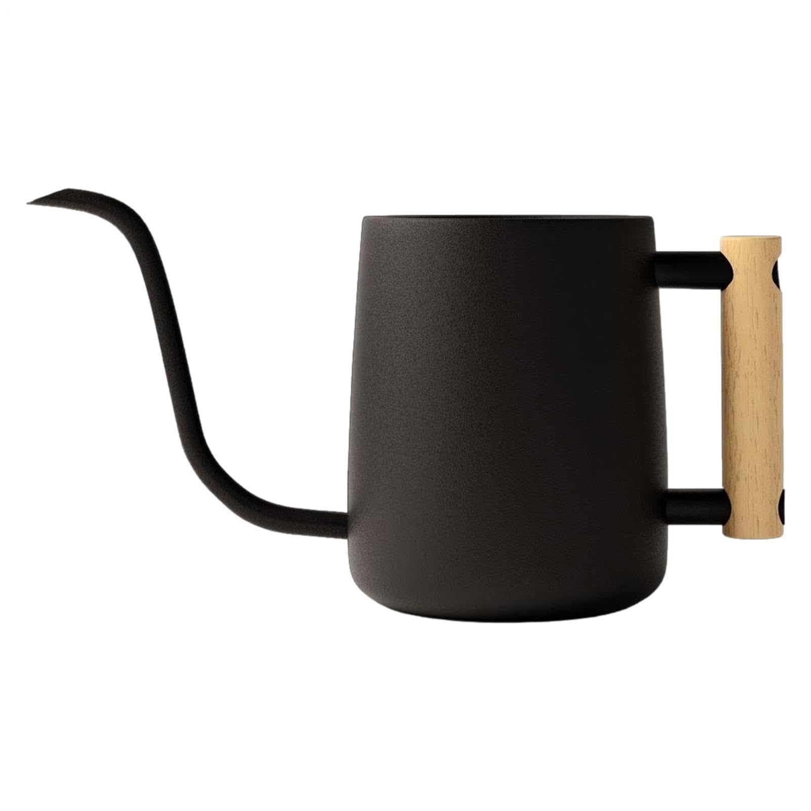 Arrosoir 1L en acier inoxydable avec long bec et manche en bois