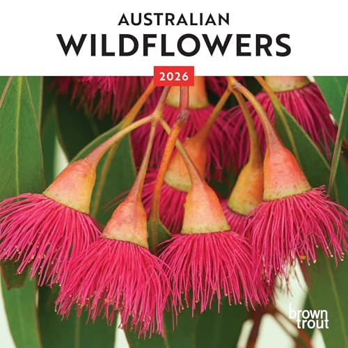 Australian Wildflowers | 2026 7 x 14 Inch (Hanging) Monthly Mini Wall Calendar | BrownTrout | Nature Floral | Travel | Scenic | Photography | Nature | Australia | Floral | Bouquet | Arrangement | Native