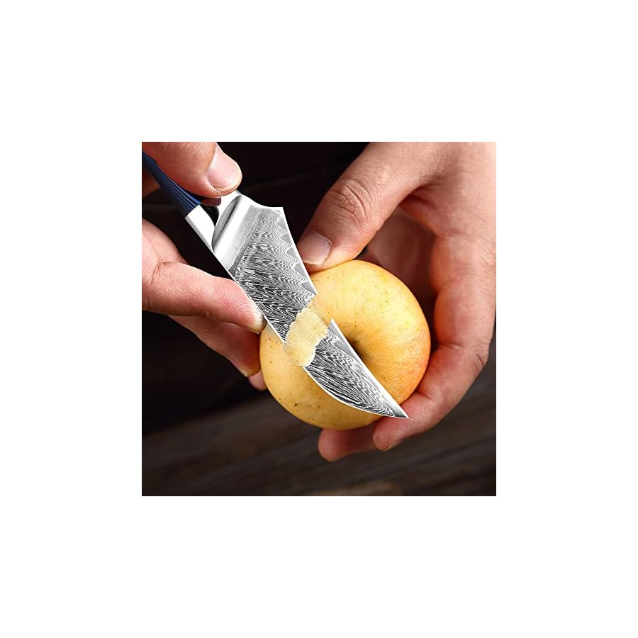 ARCOFF Knife Sets, 4 PCS Damascus Steel Knife Japanese Vg10 Super Steel Sharp Chef Knife Kitchen Slicing Santoku Paring Knives Boning Knife, ARCOFF9058