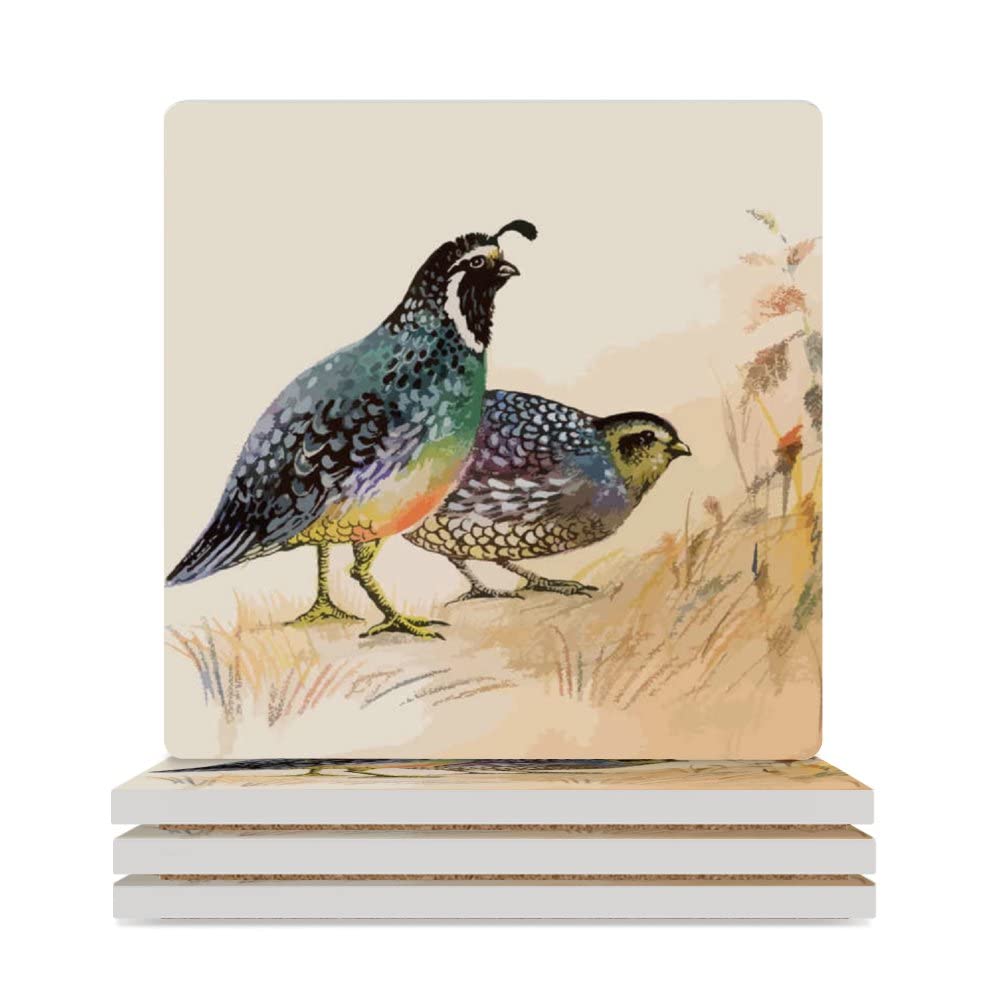 Watercolor Quails Birds Square Ceramic Coaster with Cork Base Heat-Resistant Absorption Reusable Drink Coasters for Any Cups Housewarming Gifts for Friend 4 PCS