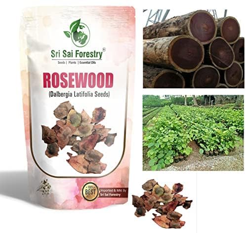 SRI SAI FORESTRY Rose Wood Tree Seeds (Rosewood, Dalbergia, Sheesham) for Planting, Agriculture Lands and Plantation Forming Pack of 150 Gram (B0CQZ29PR8) Amazon Price History, Amazon Price Tracker