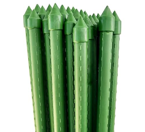 |x 16mm×210cm 25{ Zbg C{| _Ǝ  K[fjO CSP-16-210-SET