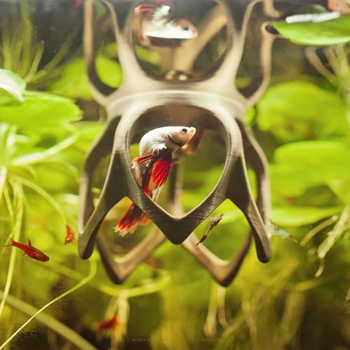Image of Betta Play Ground | Floating Hammock and Hiding Cave for Betta, Fish, Shrimp with Feeding Station - Swim-Through Aquarium Ornament and Tank Decoration (Bronze, Mini)