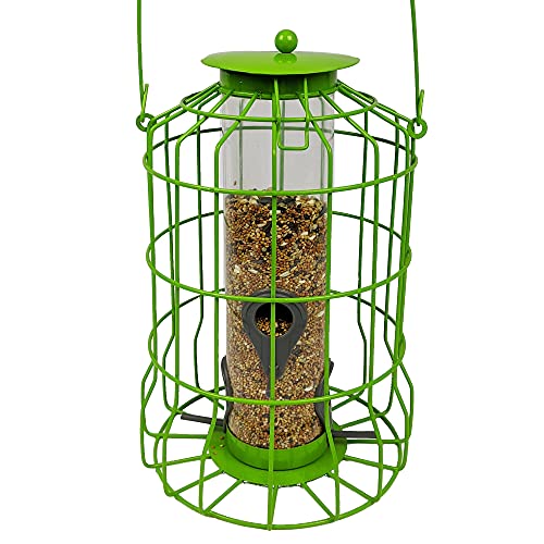 Bird Feeder - Bird Feeders for Oustside - Bird Feeder Hanger - Hanging Bird Feeder - Caged Tube Bird Feeder - Great for Outdoors - Small Bird Feeder (Lime)