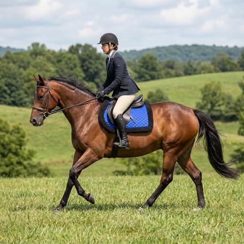 Image of Horse Quilted English Bareback PAD Trail Fleece Neoprene Royal Blue 72F48RB