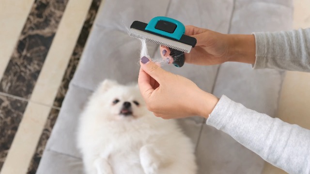 Ruff 'n Ruffus Deshedding Brush + Free Bonus Nail Clippers | Reduces Shedding by up to 95% | Pet Brush for All Breeds… - Image 8