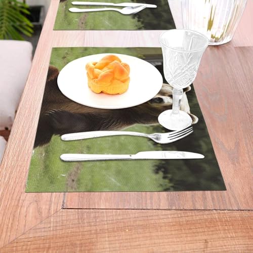 Sets de table en vinyle PVC lavables et tapis de table antidérapants