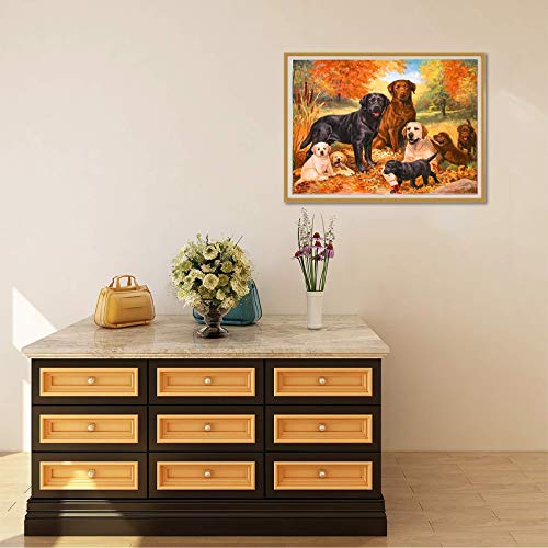 Reofrey 5d Hond Diamond Painting Volwassenen Beginners Kits, DierenDiamant Schilderij Kits Kristal Strass Borduurwerk… - Image 4