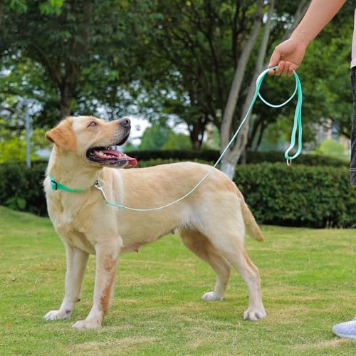 Nimble Wasserdichtes Hundehalsband, leicht zu reinigendes Gummihalsband mit Schnellverschluss, passend für kleine, mittlere oder große Hunde
