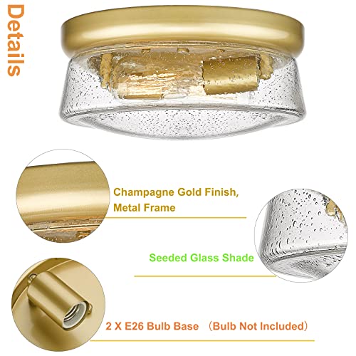 Hopejoy Gold Flush Mount Ceiling Light, 12 Inch 2-Light Modern Seeded Glass Flush Mount Light Fixture, Close To Ceiling Light Fixtures In Champagne Gold For Hallway Bedroom Kitchen Entryway #TOP2