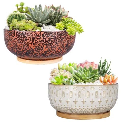 Fivepot 10+8 Inch Ceramic Succulent Planter Pots with Drainage Hole Clay Flower Pot for Plants Indoor Round Shallow Bonsai Pot with Bamboo Tray Cover