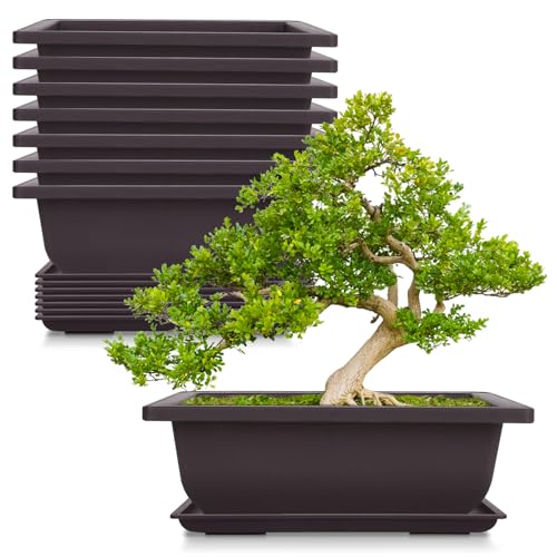 Cezoyx Set van 8 bonsai-trainingspotten met drainagebakken, 22,5 cm bonsaiplanten, kweekpotten, rechthoekige plantenpotten voor tuin, binnenplaats, kantoor, woonkamer, veranda, balkon, woondecoratie