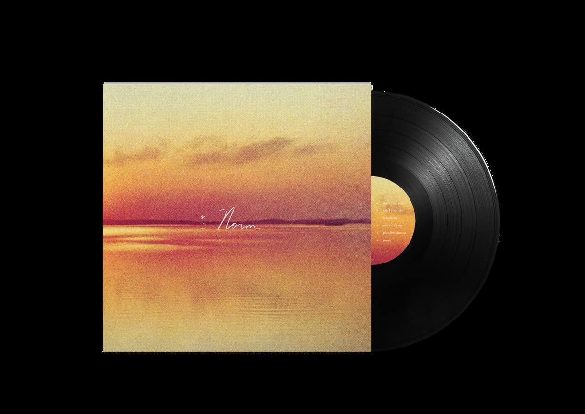 Norm [VINYL]