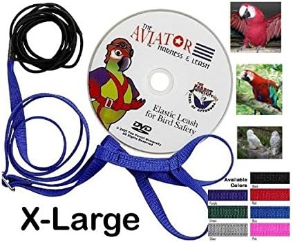 The Aviator Bird Harness & Leash - X-Large - Blue