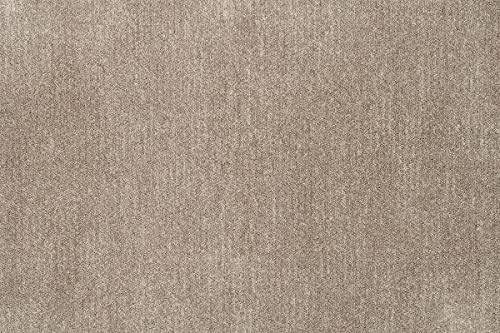 yANZgO \(sol)zh_jHEVііh~EAubNEfBJXgbvEzbgJ[ybggΉEEHbVuEO~(イ)EJ[ybgEOE|vs (190×240cm, uE)