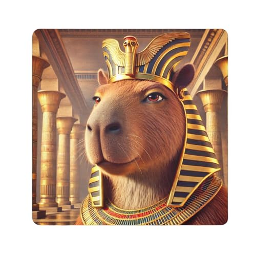 Joko Ivery Capybara Self-adhesive Cloth 17.7