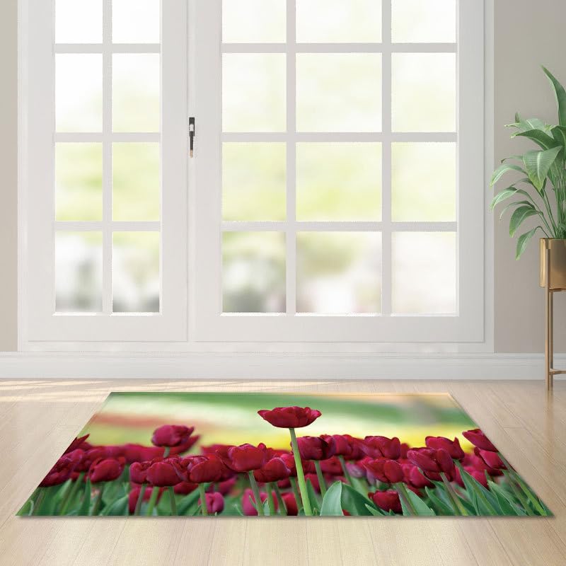 GDJSMIN Tapis De Intérieur 60 X 90 Cm - Paillasson D'Intérieur