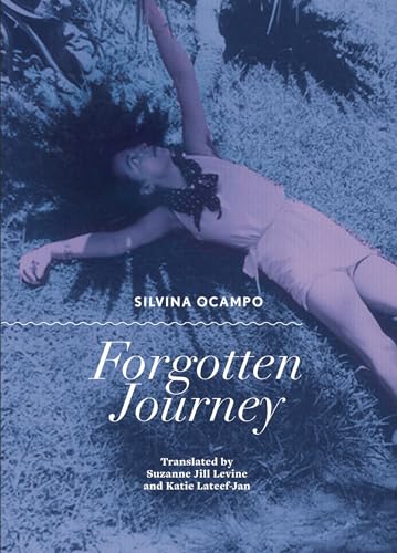 Forgotten Journey view 2