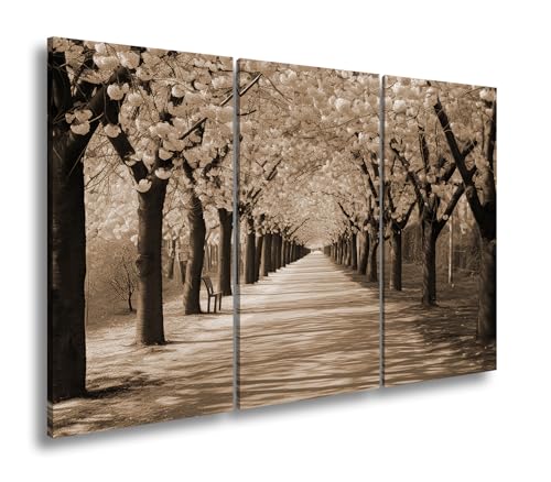Toile tunnel de fleurs de cerises deyoli évocatrice de douceur