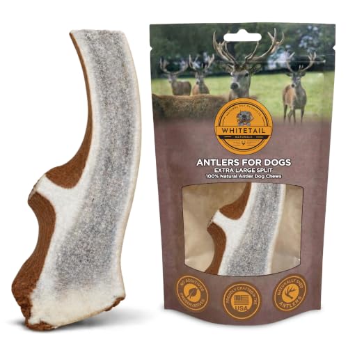 WhiteTail Naturals XL Split Elk Antler for Large & X-Large Dogs, 1Ct - 7-8"