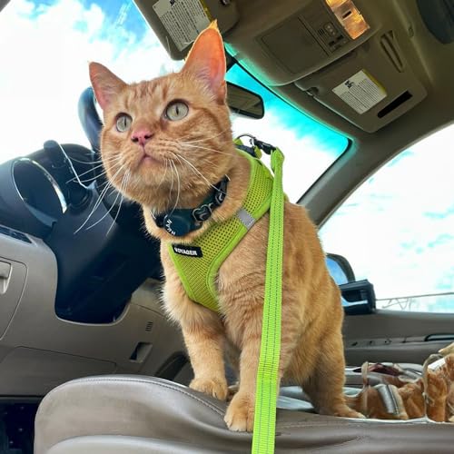 Best Pet Supplies Voyager Step-in Air All Weather Mesh Harness and Reflective Dog 5ft Leash Combo with Neoprene Handle, for Small, Medium and Large Breed Puppies - Set (Lime Green), XX-Small by Best Pet Supplies - Image 8