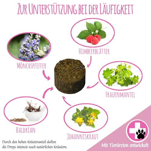 Schnüffelfreunde Läufigkeit Drops für Hunde I für den Hund im Zyklus I scheinschwanger scheinträchtig I mit Mönchspfeffer, Frauenmantel, Himbeerblätter, Baldrian (150g - ca.180 Stück)