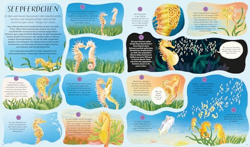 Der Lauf der Natur: 48 Geschichten über die Kreisläufe unserer Welt