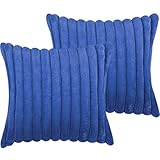 Fundas de cojín de 24 x 24 pulgadas, decoración neutra del