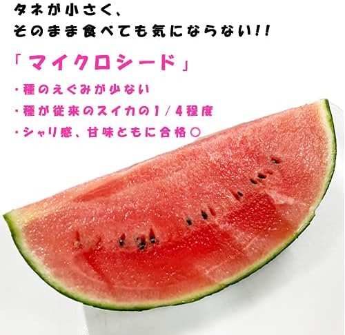 ピノガール １玉入り マツコの知らない世界でも紹介されました！種まで食べれる小玉すいか！西瓜の革命！
