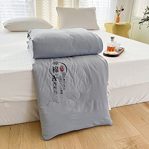 BIRANH Edredones De Verano,Edredón De Verano De Fibra De Soja, Edredón Fino De Verano, Lujoso Edredón De Calidad De Hotel, Lavable,1.150x200cm Cover