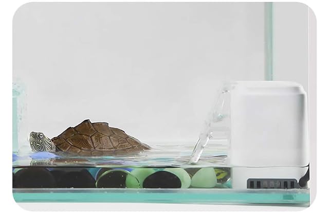 Foto 5 de 7 de VANSUKY AC220~240V Filtro de bajo Nivel de Agua para Tortuga (1.5cm)